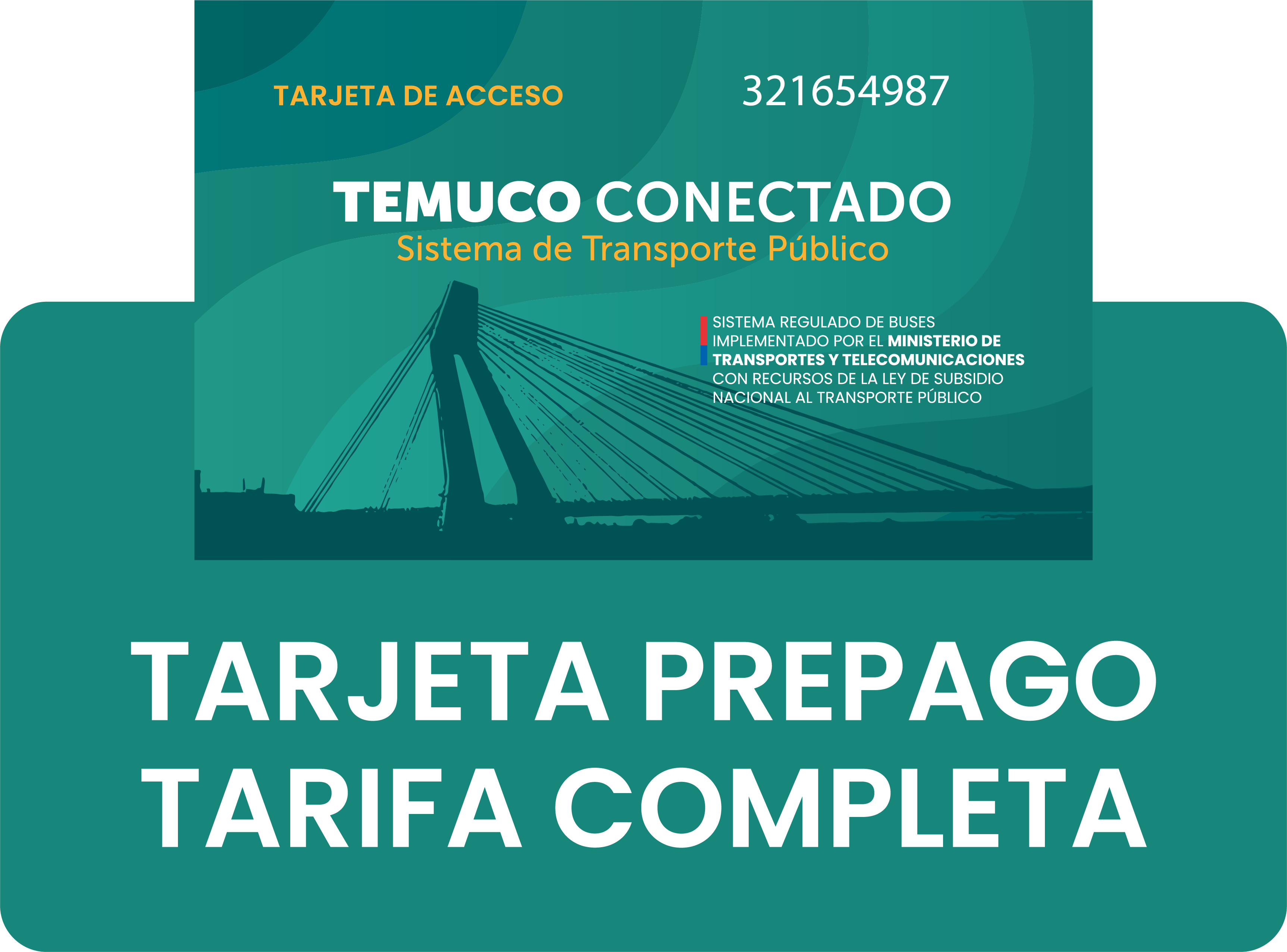 NORMAL-TEMUCO-BIPAY.png